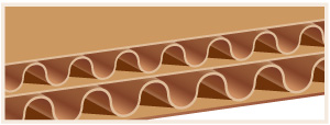 Cenpac:/Guide_achat/update/img/2-page-guide-carton/DoubleCannelure_Rectangle.jpg