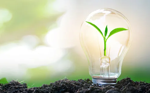 Cenpac/fr_FR/plante_arbre/Redirection_PolitiqueEnergetique.webp