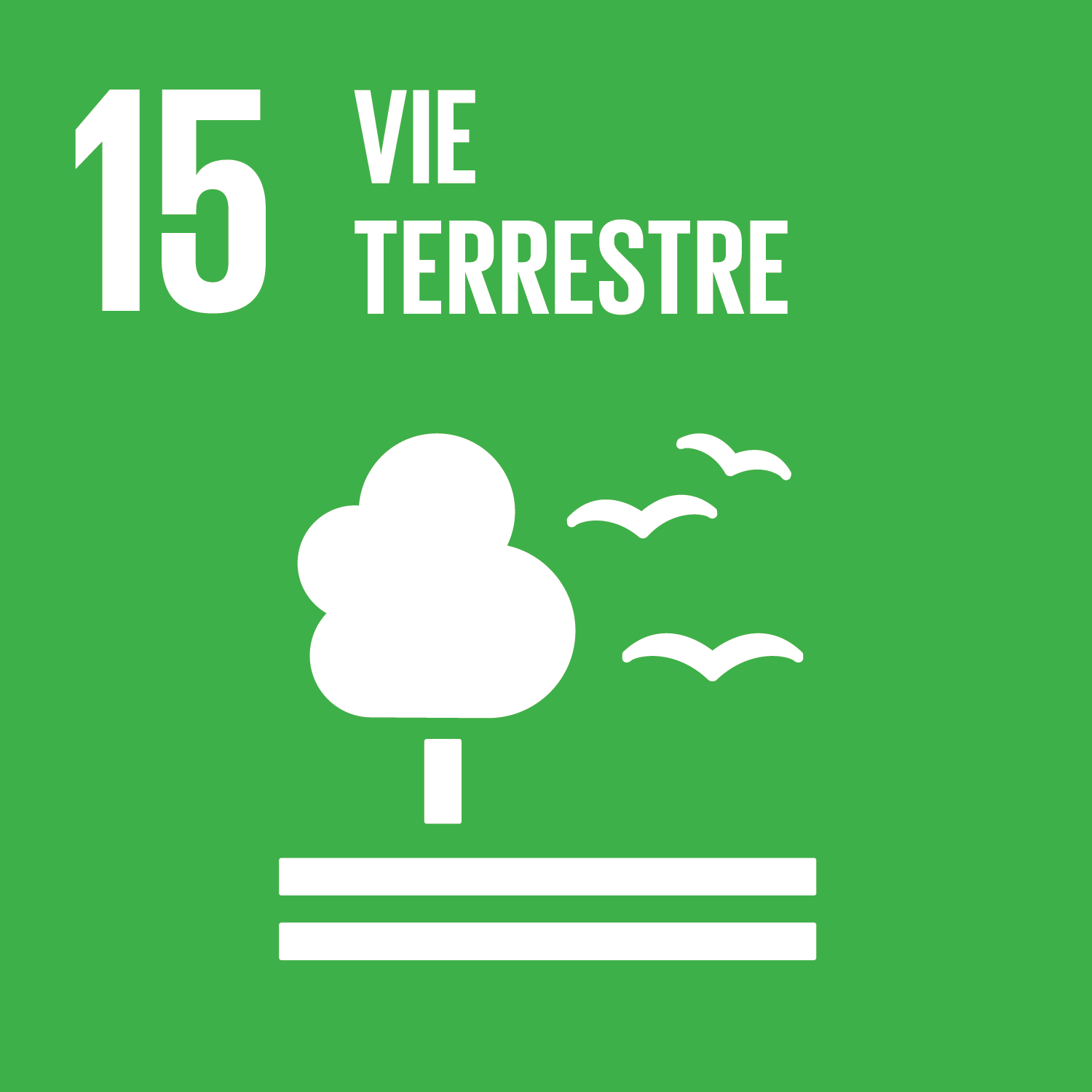 Cenpac-Site/-/Cenpac/fr_FR/plante_arbre/logo_env_3.png